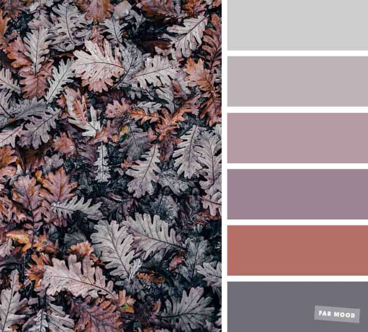 grey and mauve color palette