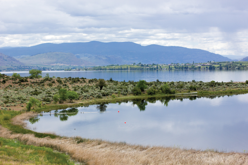 osoyoos 2