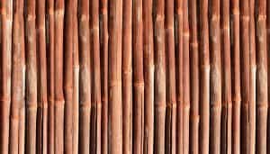 bamboo-886749_960_720