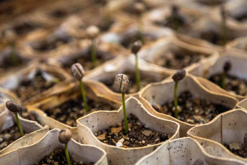 Hack for Emptying Soil Bags