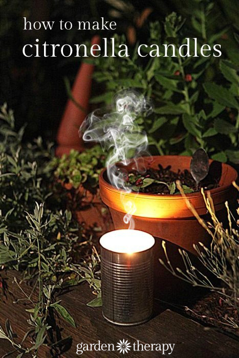 diy citronella candle