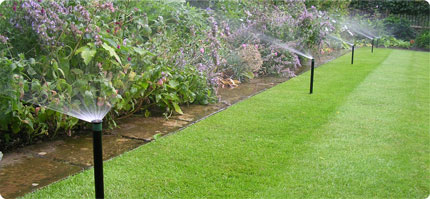 low maintenance landscaping