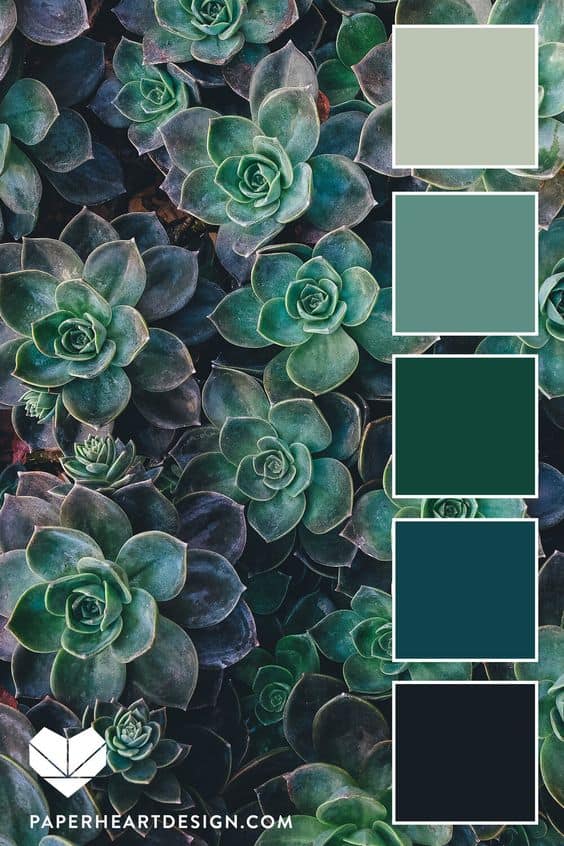 Emerald Green Color Palette Why You, What Shade Is Emerald Green